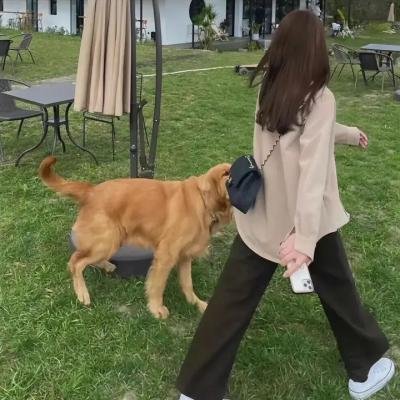 黑狱驿站